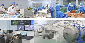 朝企风采 元山市葛麻食品厂——优质水产品加工领域的坚实力量